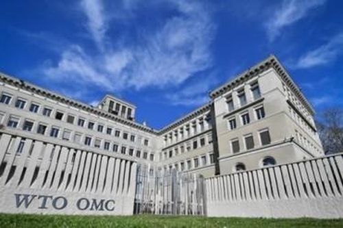 Thế giới Thế giới WTO hoãn họp trước lo ngại về biến thể mới