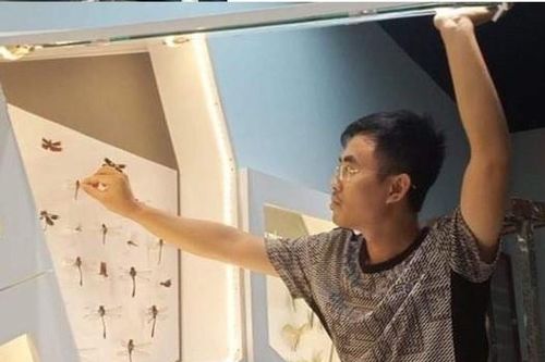 Bỏ nghề đạo diễn phim hoạt hình, chàng trai 9X khởi nghiệp thành công bằng việc làm tiêu bản xác động vật