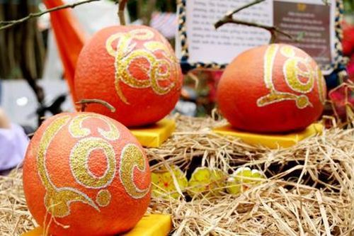 Bất ngờ với loại bưởi Việt có giá hơn 1 triệu đồng/quả