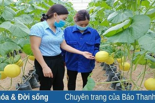 Sản xuất nông nghiệp theo hướng công nghệ cao tại huyện Thọ Xuân