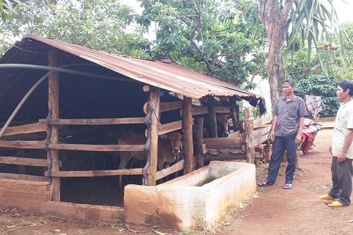 Người dân dần bỏ thói quen nuôi nhốt gia súc dưới gầm nhà sàn