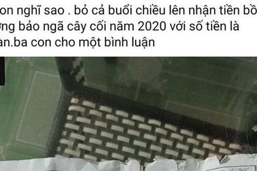 Vụ hỗ trợ người dân bị thiệt hại do bão 2.000 đồng: Kiểm điểm các đơn vị liên quan