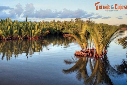 Ngây ngất trước những phong cảnh tuyệt vời của Cà Mau (2)