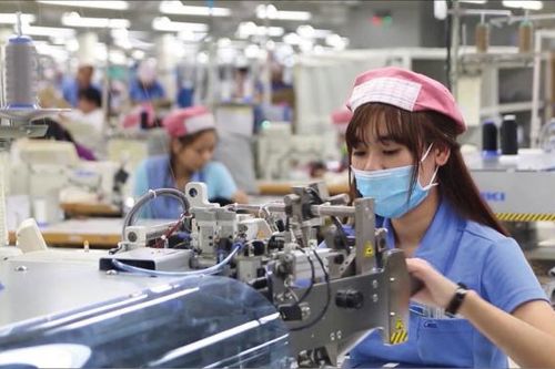 Gần 12.000 doanh nghiệp thành lập mới trong tháng 11/2021
