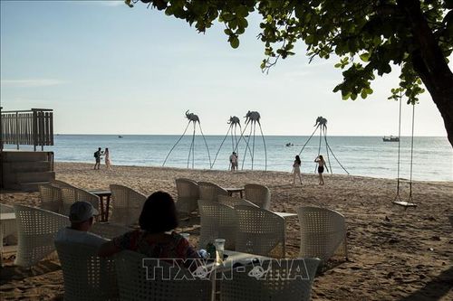 Tháng 11, khách quốc tế đến Việt Nam tăng 42,4% so với tháng trước