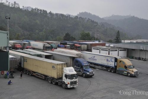 Không có 'thế lực ngầm' o ép lái xe tại cửa khẩu Hữu Nghị
