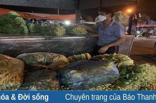 Tất bật chợ rau đêm