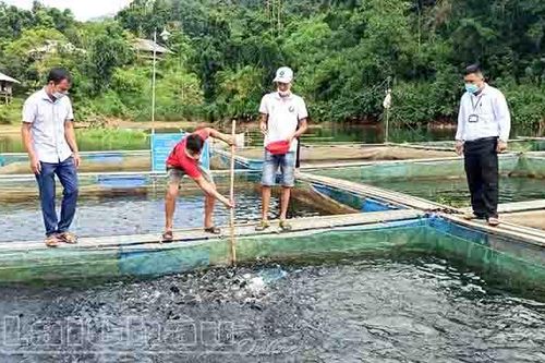 Kinh tế TRUYỀN HÌNH INTERNET Lai Châu qua ảnh