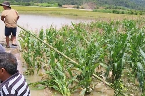 Trượt chân xuống suối, một phụ nữ bị lũ cuốn trôi