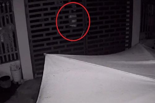 Nửa đêm nghe tiếng chó sủa, chủ nhà ra xem nhưng không có ai, kiểm tra camera lại được phen thất kinh