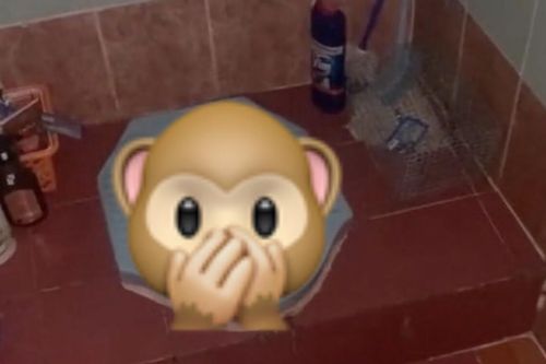 Nhiều lần thấy tiếng động lạ trong nhà vệ sinh của mình, anh chàng kinh hãi khi 'bắt quả tang' cảnh này