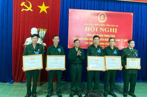 Gia Lai tổng kết phong trào 'Cựu chiến binh giúp nhau giảm nghèo, làm kinh tế giỏi'
