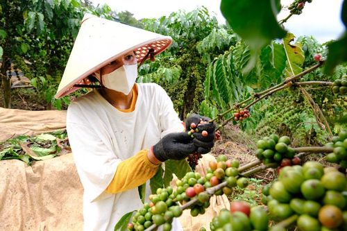 Đam Rông: Chú trọng đầu tư phát triển vùng đồng bào dân tộc thiểu số