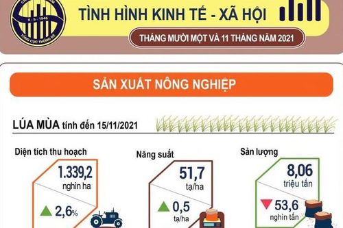 Tình hình kinh tế xã hội tháng 11 và mười một tháng năm 2021