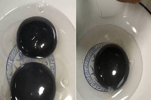 Kỳ lạ ngỗng đẻ trứng màu đen bất thường
