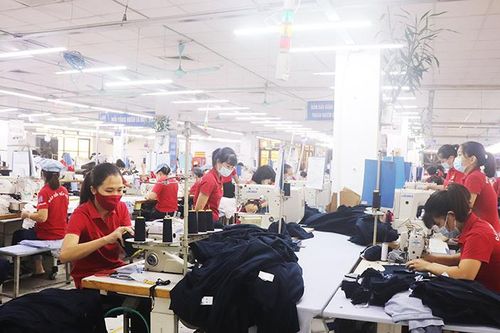Hỗ trợ từ Quỹ Bảo hiểm thất nghiệp: Chính sách nhân văn, kịp thời