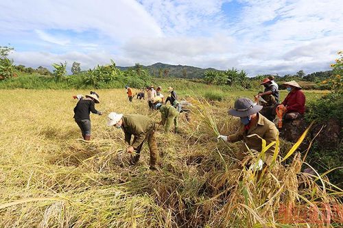 Những nghĩa cử ấm lòng từ tâm dịch Hà Bầu