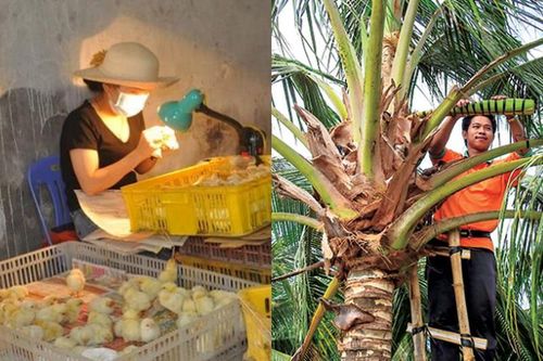 Khó tin nghề trả lương cao ngất ở Việt Nan vẫn thiếu người làm
