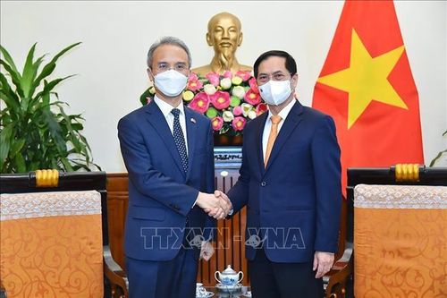 Tăng cường hợp tác toàn diện và nâng cao hiểu biết giữa Việt Nam và Hàn Quốc