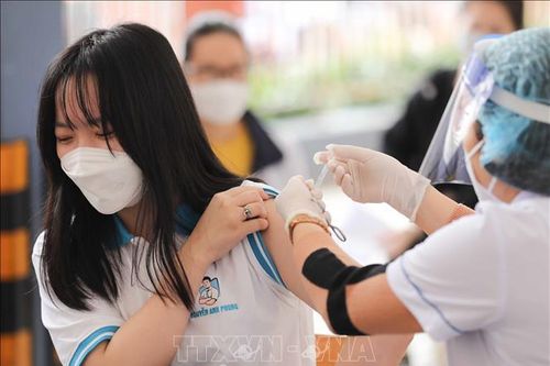 Hà Nội chỉ dừng hai lô vaccine gia hạn để xin ý kiến, các loại khác vẫn tiêm bình thường