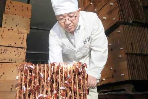 Bí ẩn đằng sau những trang trại nuôi gián của Trung Quốc