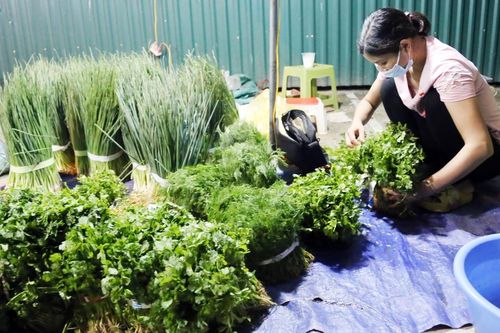 Rau xanh tăng giá - ngẫm về sự canh tác