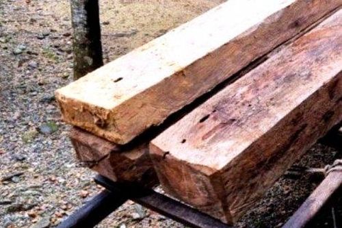 Chính trị - Xã hội Pháp luật - Cuộc sống Lợi dụng khe suối, vận chuyển gỗ trái phép