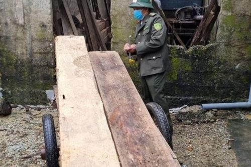 Bị truy đuổi, 5 đối tượng bỏ lại gỗ lậu giữa khe suối để thoát thân