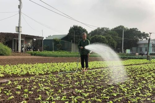 Hà Nội: Không để nông sản khan hàng, sốt giá dịp cuối năm