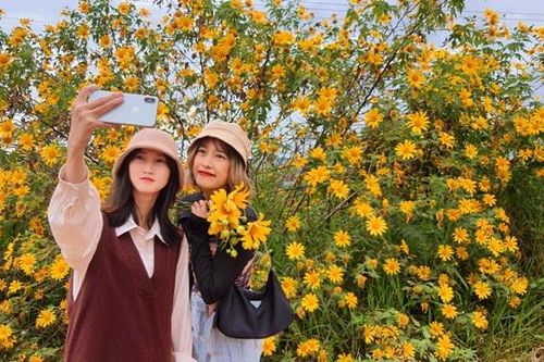 Đà Lạt những cung đường vàng rực sắc hoa dã quỳ