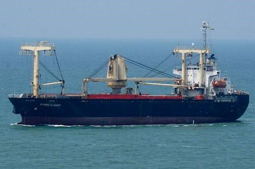 Tàu hàng Narimoto Maru bị nạn trôi dạt trên vùng biển Bình Thuận