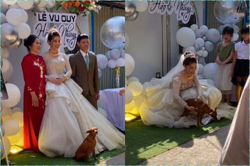 'Con sen' theo chồng bỏ cuộc chơi, chú chó có hành động lạ