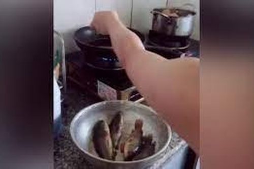 Clip: Màn rán cá có 1 không 2 của cô nàng ghét bếp