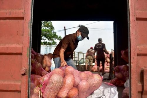 Nhiều lao động tìm kiếm cơ hội việc làm ở quê thay vì trở lại TP. HCM