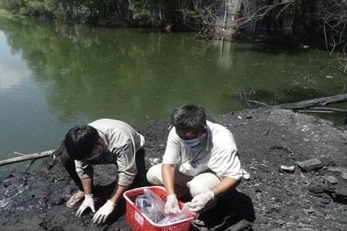 Đồng Nai thu thập mẫu nước thải để xử lý doanh nghiệp vi phạm về môi trường