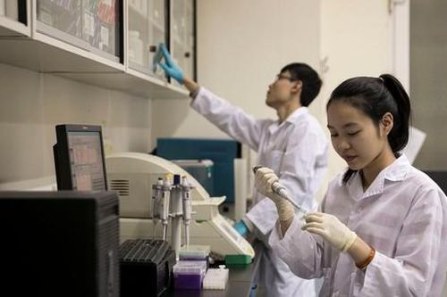 5 cơ sở giáo dục đại học của Việt Nam lọt top đại học tốt nhất toàn cầu