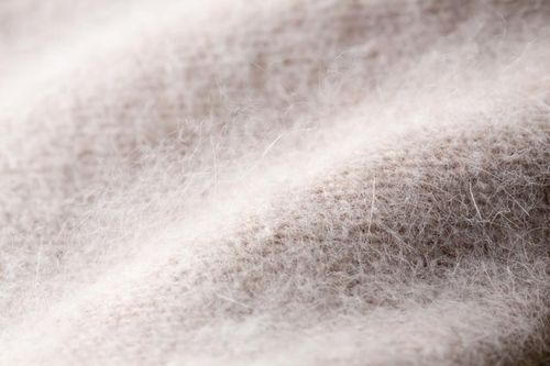 Hãng thời trang Armani ngừng sử dụng len angora để bảo vệ động vật