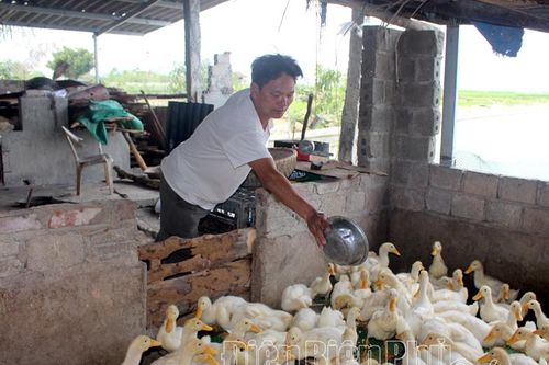 Sôi nổi phong trào 'Cựu chiến binh gương mẫu'