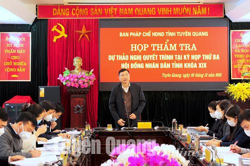 HĐND tỉnh thẩm tra Nghị quyết quy định bảng giá đất 5 năm, giai đoạn 2020-2025