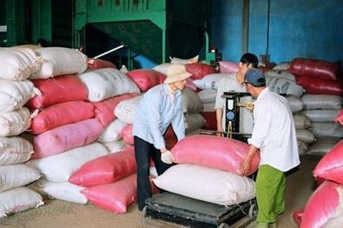 Sa lưới sau 4 năm 'ôm' 4 tỷ đồng của bạn hàng bỏ trốn