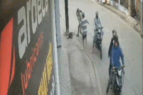 Nhóm 'cẩu tặc' tấn công chủ nhà, cướp con chó