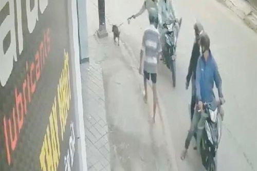 Màn chích súng điện, 'cướp' chó táo tợn ở TP.HCM
