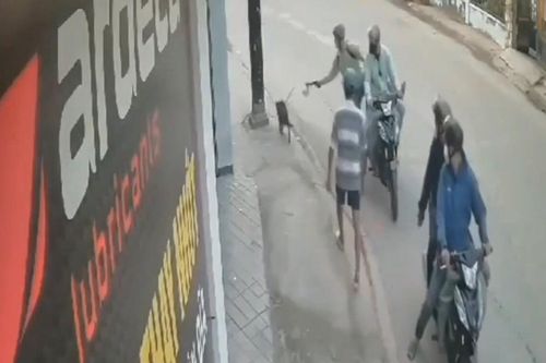 Clip: Nhóm 'cẩu tặc' táo tợn giằng co, dọa chích điện chủ nhà để cướp chó giữa ban ngày