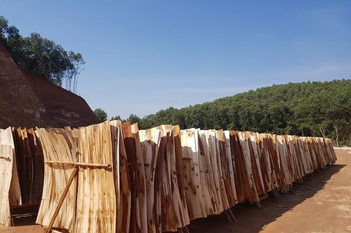 Việt Nam - Trung Quốc: Hướng tới cân bằng cán cân thương mại ngành gỗ