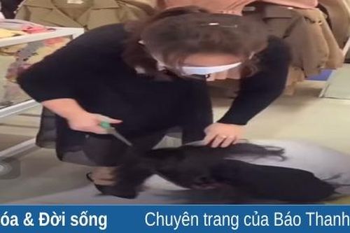 Clip cô gái quỳ lạy, van xin ở một cửa hàng thời trang khiến nhiều người bức xúc