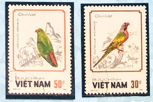 Chim vẹt (két) ở Việt Nam