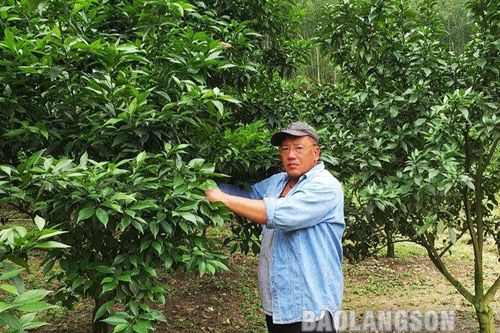 Một nông dân Lạng Sơn được tặng danh hiệu 'Nông dân Việt Nam xuất sắc' năm 2021Tin khácChung tay phòng chống HIV/AIDS trong bối cảnh dịch COVID-19THÔNG BÁO NỘI DUNG, CHƯƠNG TRÌNH KỲ HỌP THỨ BẢY (KỲ HỌP THƯỜNG LỆ CUỐI NĂM 2021) HĐND TỈNH KHÓA XVII NHIỆM KỲ