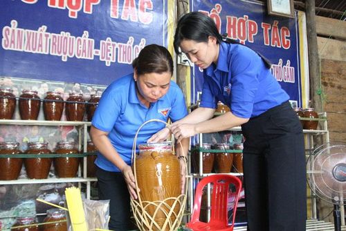 Hỗ trợ thanh niên phát triển kinh tế tập thể