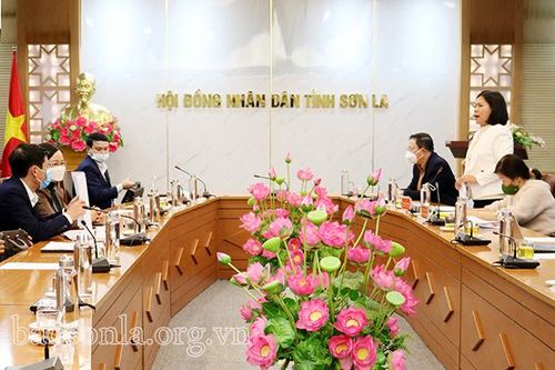 Thẩm tra nội dung trình Kỳ họp lần thứ 3, HĐND tỉnh khóa XV
