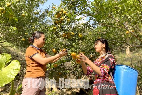 Trưởng thôn người Thái ở Làng Un